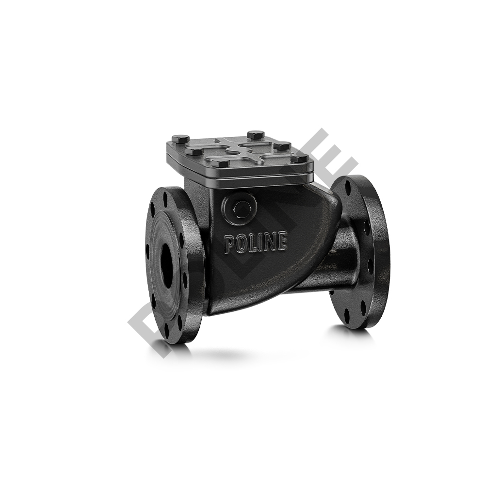 Cast Iron Non Return Valve PN1.6 (Flanged)