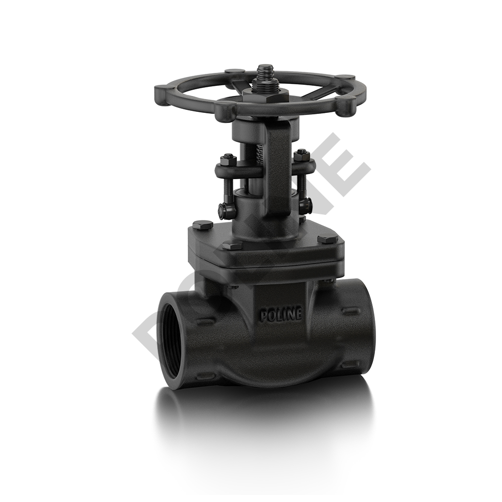 Forged Steel Globe Valve (Class 800) (Standard Bore)